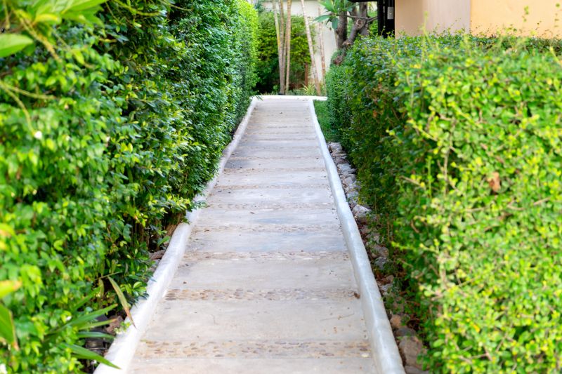 Concrete Pathway Repair in Miami Dade County, FL